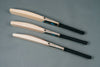 LSR Sports - Players Edition Bats